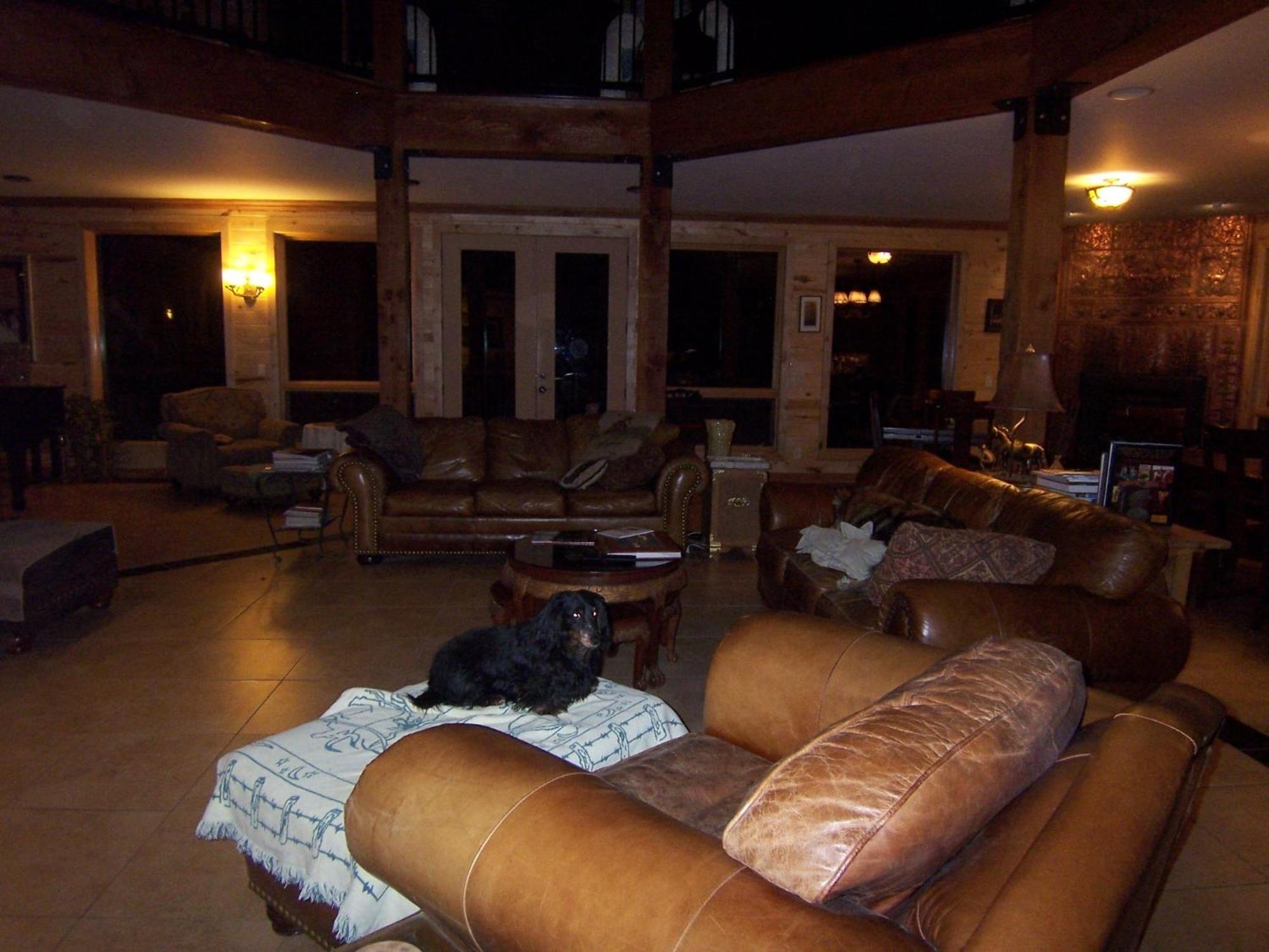 Elktrace Bed And Breakfast Пагоса-Спрингс Экстерьер фото
