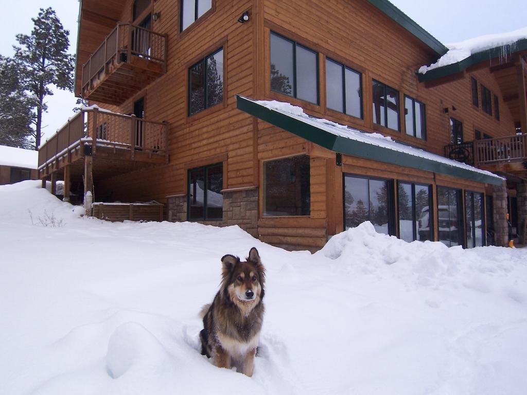 Elktrace Bed And Breakfast Пагоса-Спрингс Экстерьер фото