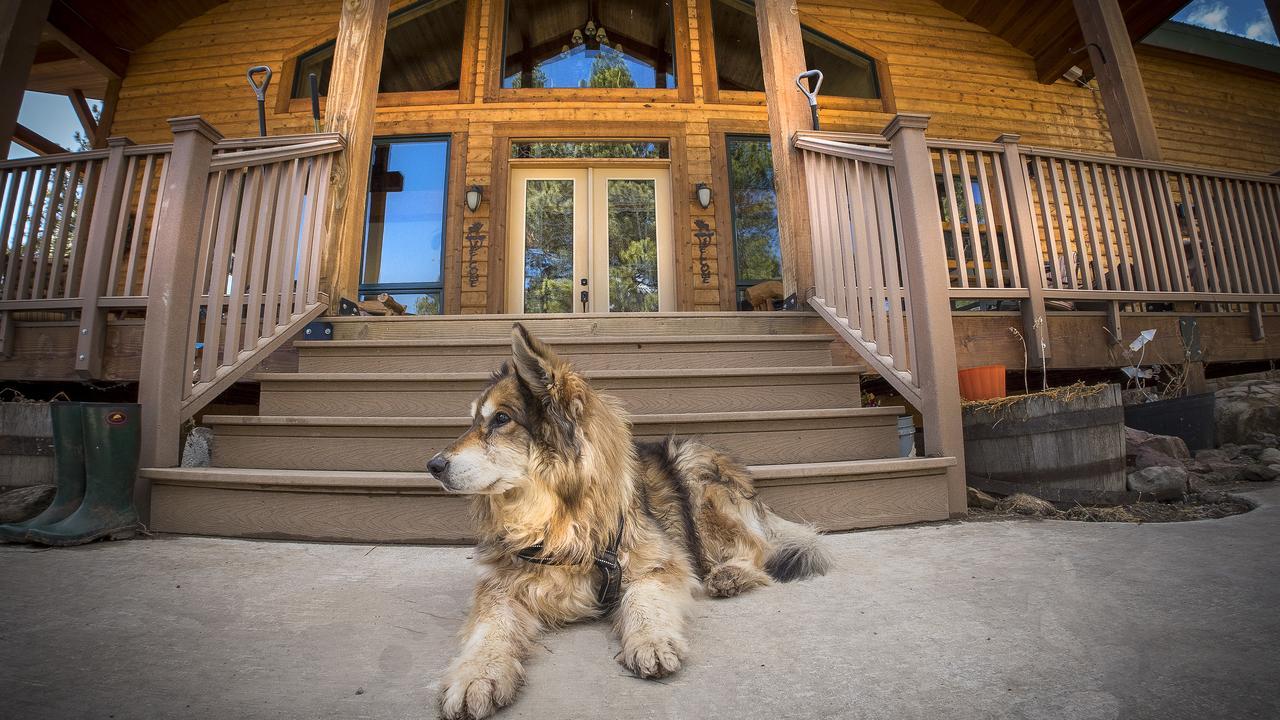 Elktrace Bed And Breakfast Пагоса-Спрингс Экстерьер фото